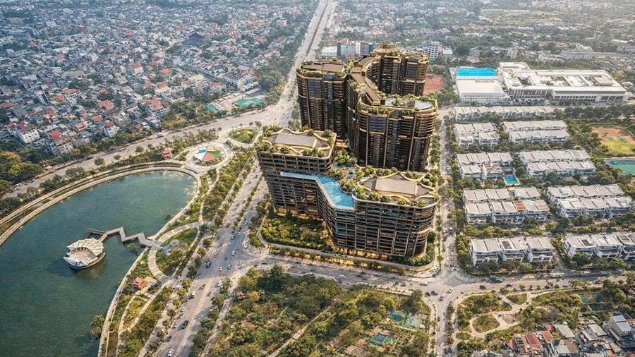 the-magnolia-phoi-canh-rumor