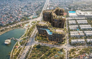 the-magnolia-phoi-canh-rumor